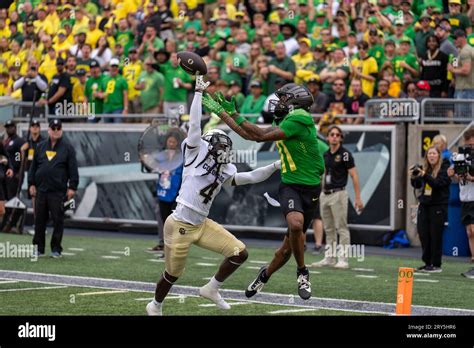 Oregon Ducks wide receiver Troy Franklin (11)) catches a touchdown pass ...