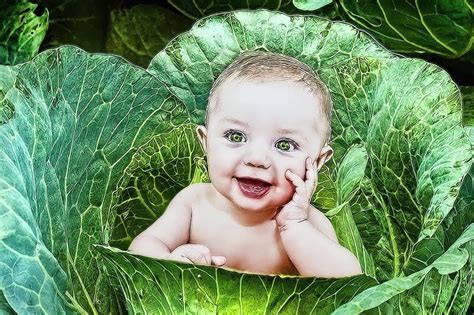 Che Modo Sceglieresti Per Avere Un Figlio Vota Al Sondaggio Gay It