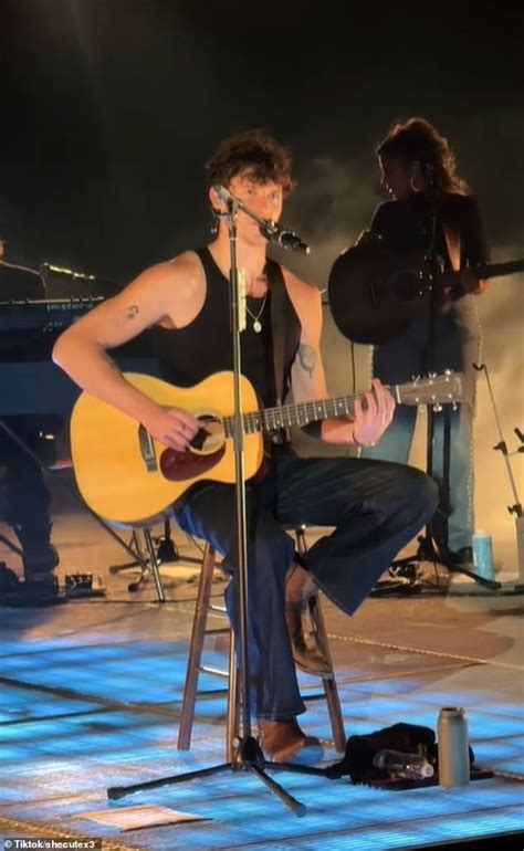 Shawn Mendes Reveals Truth About Sexuality In Candid Concert Speech Amid Gay Rumors Daily