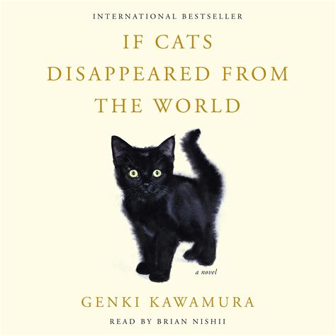 if cats disappeared from the world book 7