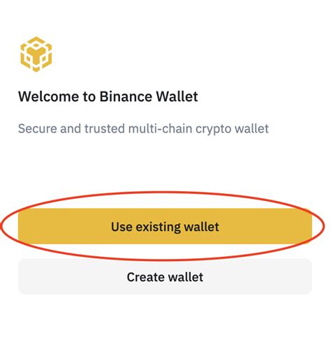 How To Use Your Ledger Device With The Binance Wallet Browser Extension