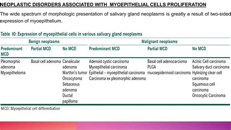 Pathophysiology Of Myoepithelial Cells In Salivary Glands PPT