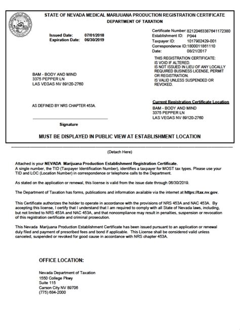 Nv Dmv Temporary License 41 Off