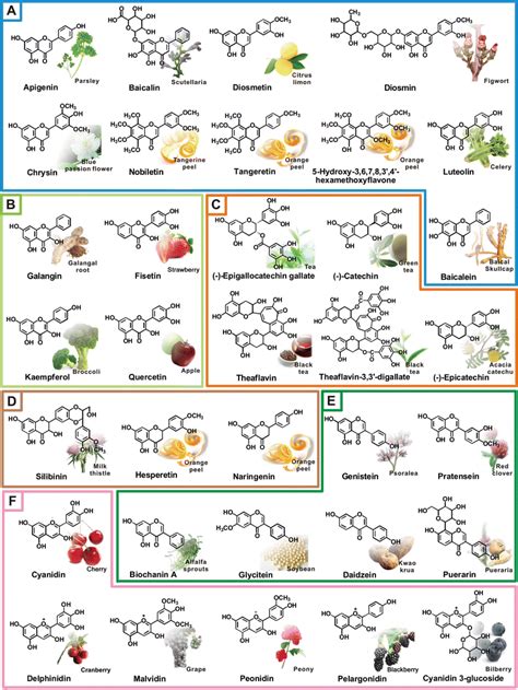 Plant Flavonoids Classification Distribution 42 Off