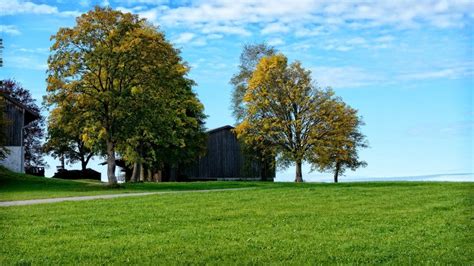 Imagen gratis agrícola rural paisaje árbol hierba rural