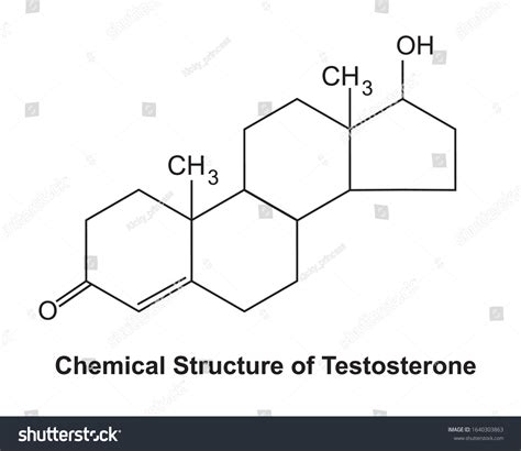 Testosterone Primary Male Sex Hormone Anabolic Stock Vector Royalty Free Shutterstock