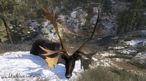 Reindeer | The Hunter Wikia | FANDOM powered by Wikia