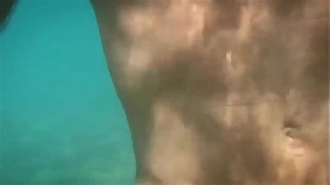 Vidéos gay fellation XVIDEOS