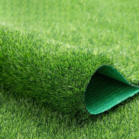 Paws And Turf: 5 Unforgiving Steps To Cleaning Dog Poop From Your Dream Lawn