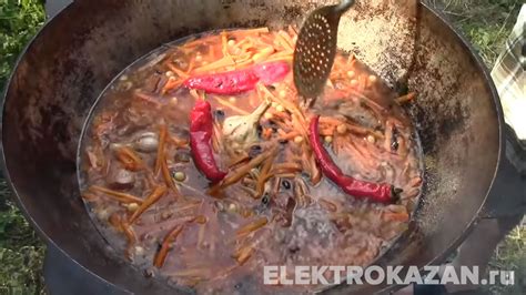 КУПИТЬ ЭЛЕКТРОКАЗАН (ЭЛЕКТРО КАЗАН) - Изготовление Электрических ...