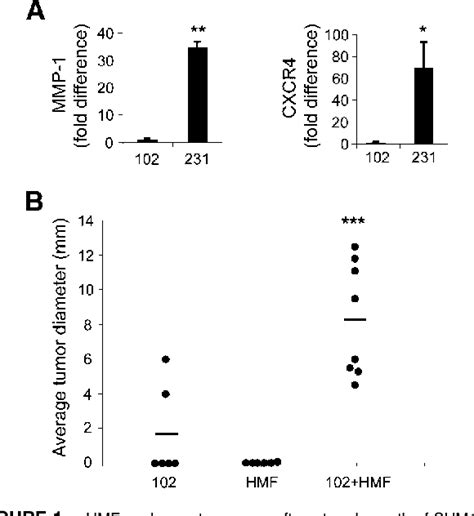 PDF CXCR 4 And Matrix Metalloproteinase 1 Are Elevated In Breast