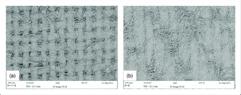 Scanning electron microscopy images of organic fabrics: (a) 20 gsm ...