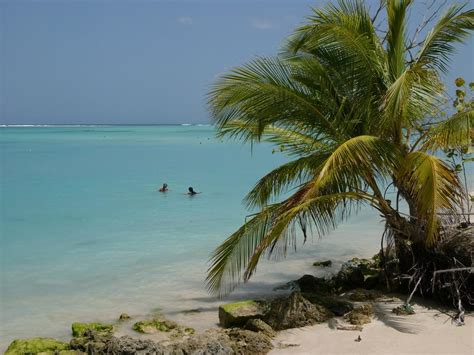 Trinidad And Tobago Wallpapers Wallpaper Cave