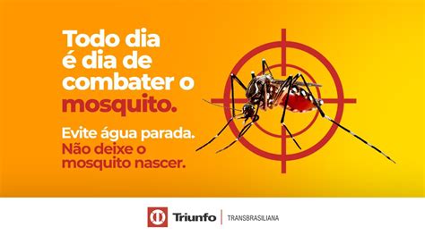 Triunfo Transbrasiliana Lan A Campanha De Combate Ao Mosquito Aedes