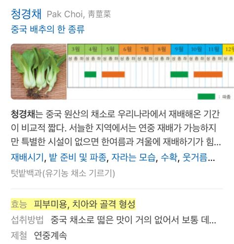 이유식 초기 청경채 큐브 만들기 🥬 네이버 블로그