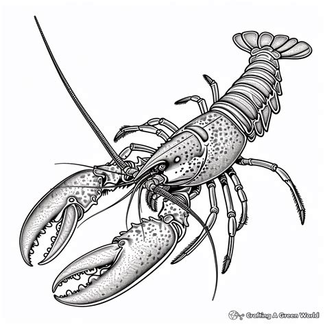 Lobster Coloring Pages Free And Printable