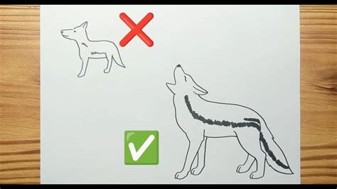 Coyote Drawing Kids