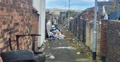 Town 'full of crackheads, p*** and zombies' named best place to watch