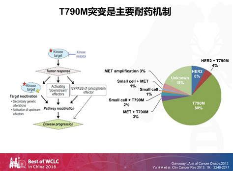 【haponco Wclc 2016】一代和二代egfr Tki谁与争锋？三代tki谁在一枝独秀？（三） 咚咚肿瘤科