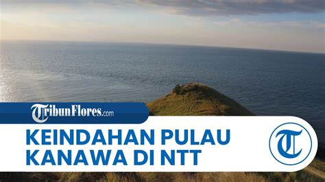 Mengenal Pulau Kanawa Di Labuan Bajo Suguhkan Keindahan Alam Dan