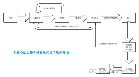 多肽合成步骤及原理 - 知乎