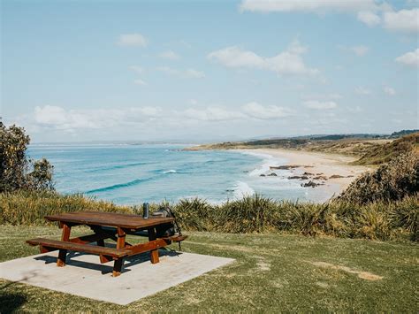 11 Best Dog-Friendly Camping Spots in NSW | Man of Many