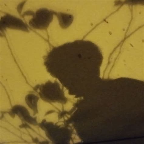 Fuck Cupido YouTube Music