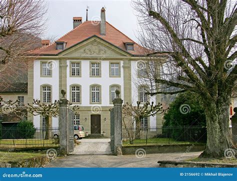 nice property  stock photo image  classical tree