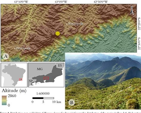 Figure 2 From The Importance Of Rediscovering Rare And Endemic Plants