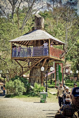 Casa Del Arbol Tree House And Outdoor Living