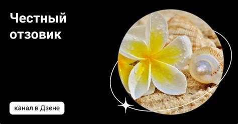 Честный отзовик | Дзен