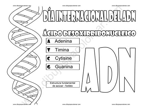Dia Internacional Del Adn Dibujo A Color Y Para Colorear
