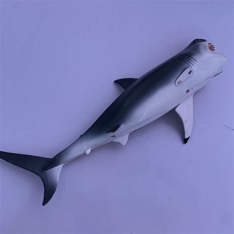 Great White Shark Anatomy Model 33cm – Retro Unit