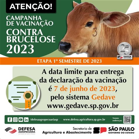 Febre Aftosa 7 de junho é prazo final para declaração de vacinação