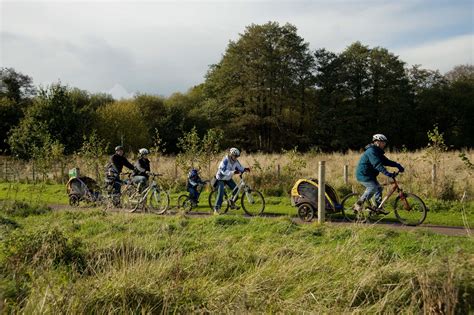 Moors Valley Country Park and Forest | Forestry England