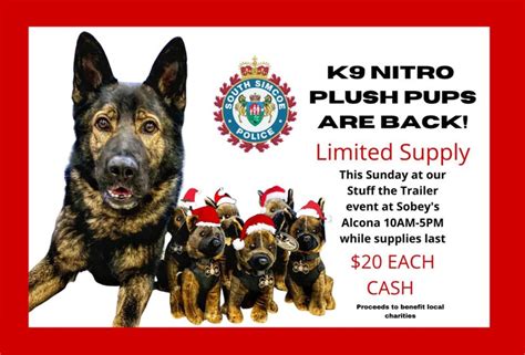 K9 Nitro Plush Pups Are Back Just In Time For Christmas Bradford News