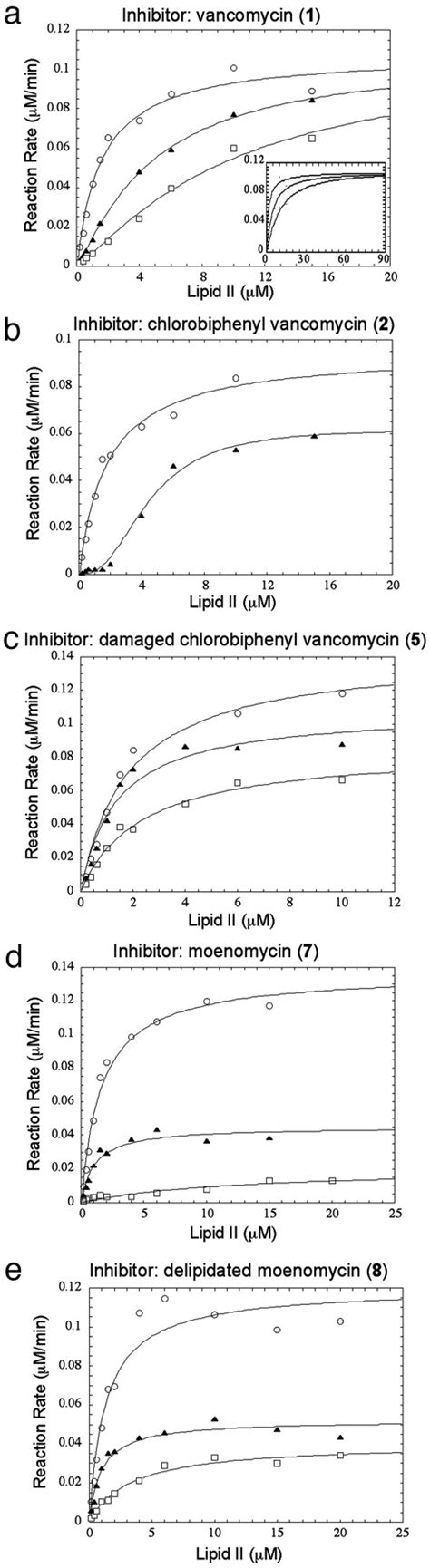 Vancomycin Analogues Active Against VanA Resistant Strains Inhibit