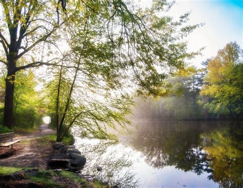 A rare bird sighting at River Park Rahway NJ surprised local hikers 11