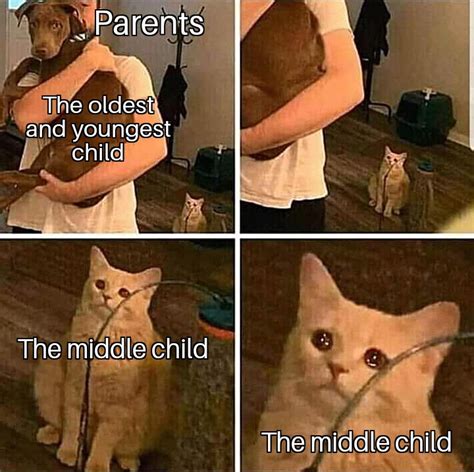 Middle child syndrome is a real thing : r/dankmemes