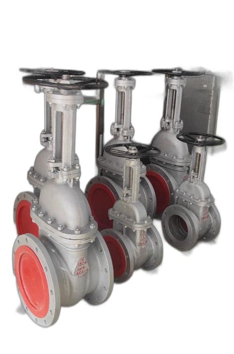 Ci Cs Ss Ms Gate Sluice Valves For Industrial At Rs