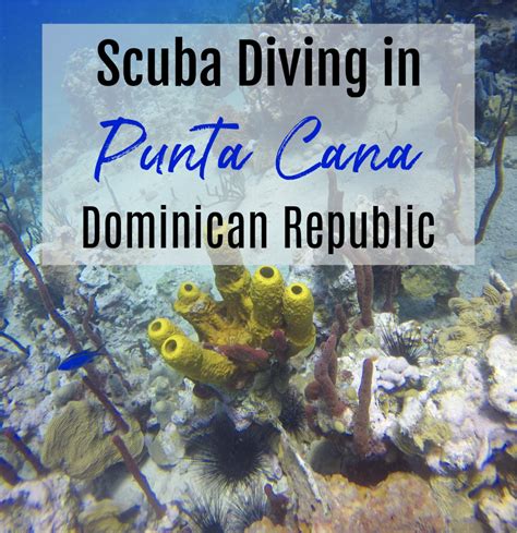 Scuba Diving In Punta Cana Dominican Republic Miasara Andrew
