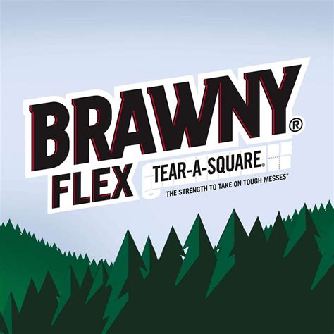 Bounty vs Brawny: Which Paper Towel Is The Best?