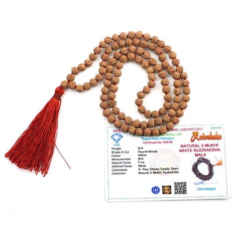 5 Mukhi Rudraksha Mala Five Face Rudraksha Mala With Certificate