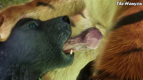 Wild Life 4K Tiger X Wolf Pornhub Gay