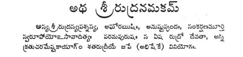 Sanathana Dharmam: namakam -chamakam - in telugu - శ్రీ -రుద్రం- నమకం -చమకం