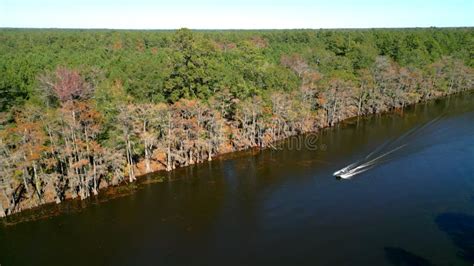 Big Cypress Bayou River At Caddo Lake State Park Stock Photo Image Of