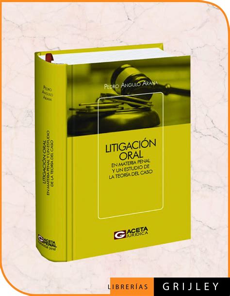 Litigación Oral en Materia Penal y Un Estudio de la Teoría del Caso