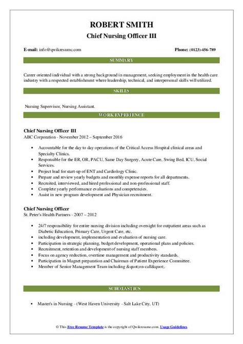 Download Free Chief Nursing Officer III Resume .Docx (Word) Template on ...