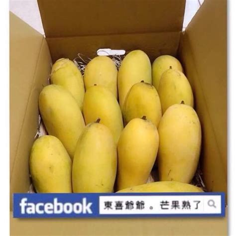 屏東特選「金煌芒果」三地門、高樹特產 | 蝦皮購物