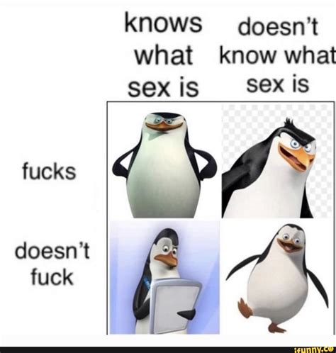 Knows Doesn T What Know What Sex Is Sex Is Fucks Doesn T Fuck Ifunny